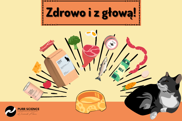 Kocia dieta naukowo – ryby dawać, czy nie?