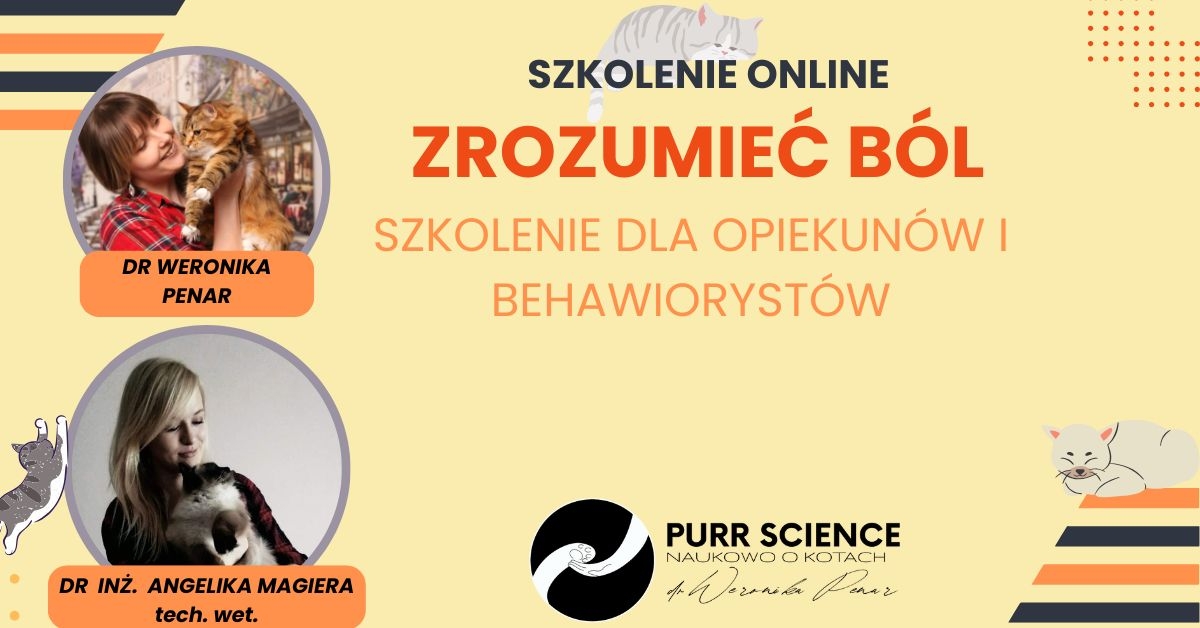Zrozumieć ból